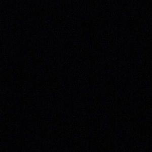 Meet your Posher, Ella